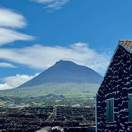 Villa Pico Island