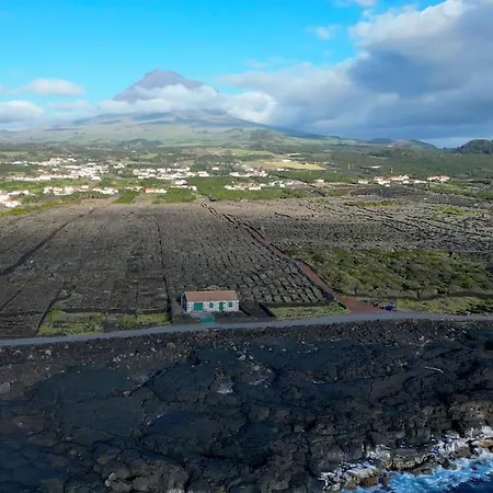 Villa Pico Island 22 - Ocean Front & Unesco Heritage Century-old Grapevines Madalena (Azores)