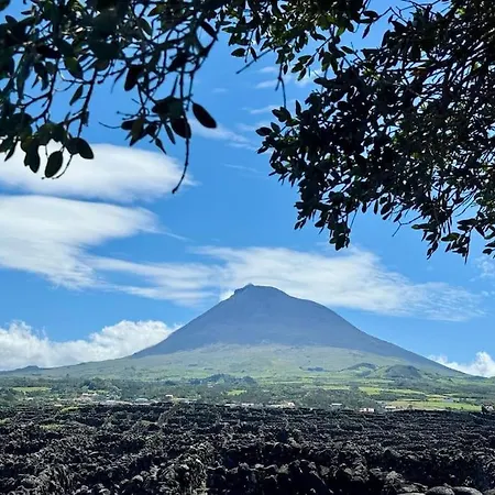 Pico Island 22 - Ocean Front & Unesco Heritage Century-old Grapevines Willa