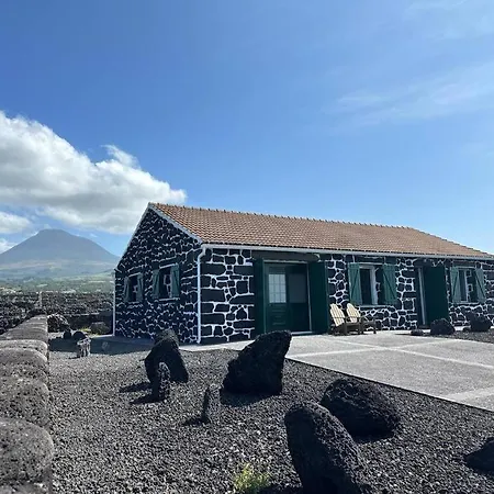 Villa Pico Island 22 - Ocean Front & Unesco Heritage Century-old Grapevines Madalena (Azores)