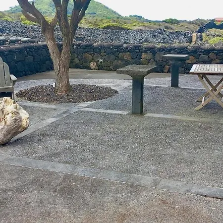 Pico Island 22 - Ocean Front & Unesco Heritage Century-old Grapevines *