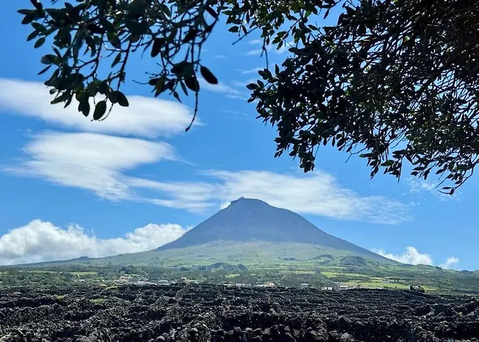 Pico Island 22 - Ocean Front & Unesco Heritage Century-old Grapevines Villa