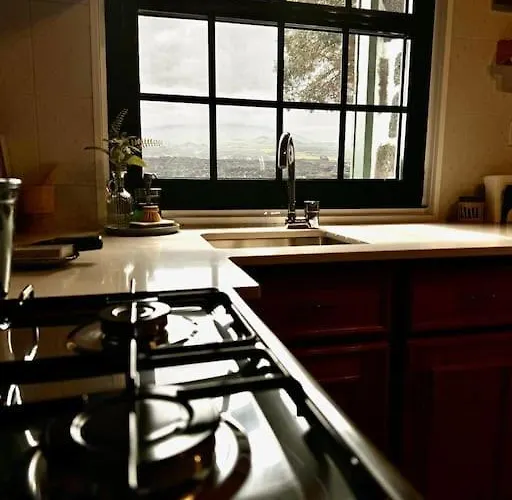 Villa Pico Island 22 - Ocean Front & Unesco Heritage Century-old Grapevines Madalena (Azores)