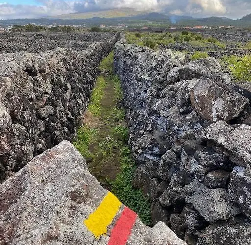 Villa Pico Island 22 - Ocean Front & Unesco Heritage Century-old Grapevines *