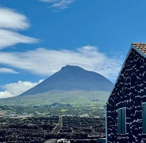 Villa Pico Island 22 - Ocean Front & Unesco Heritage Century-old Grapevines